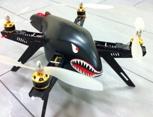 black and white shark drone thumbnail