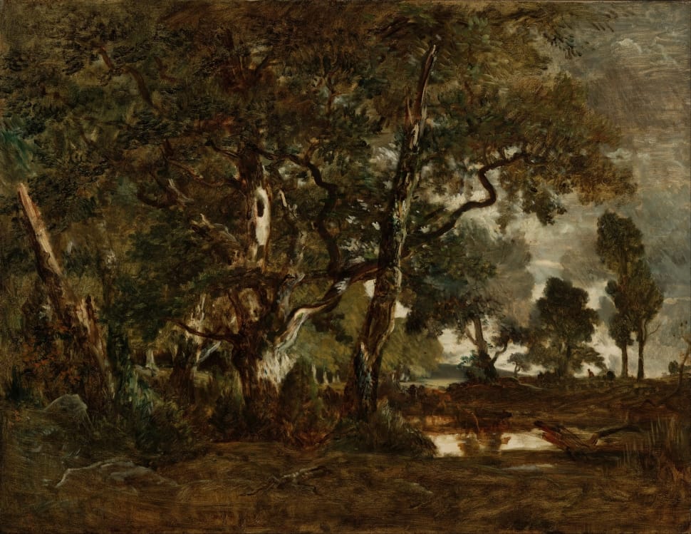 painting of black and brown trees preview