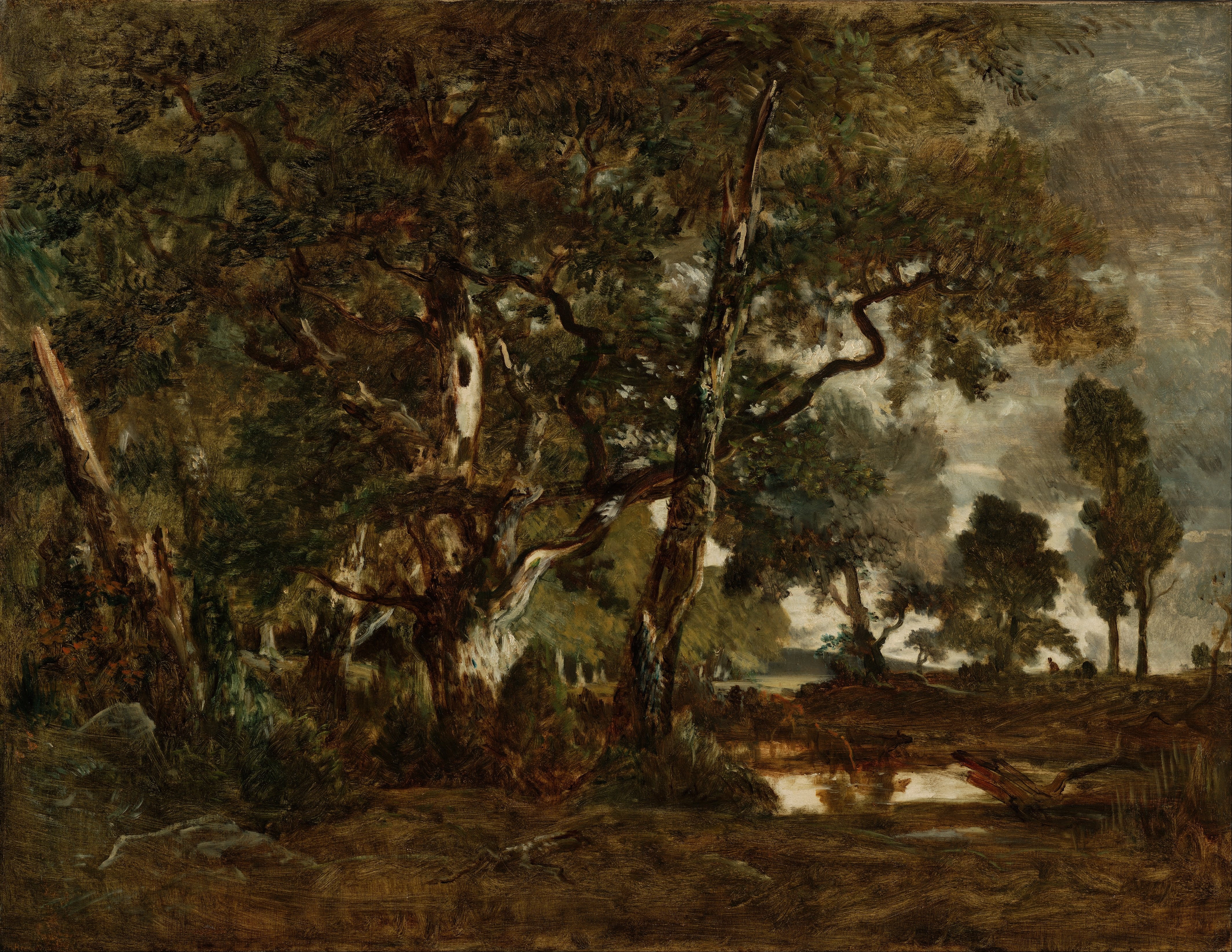 painting of black and brown trees