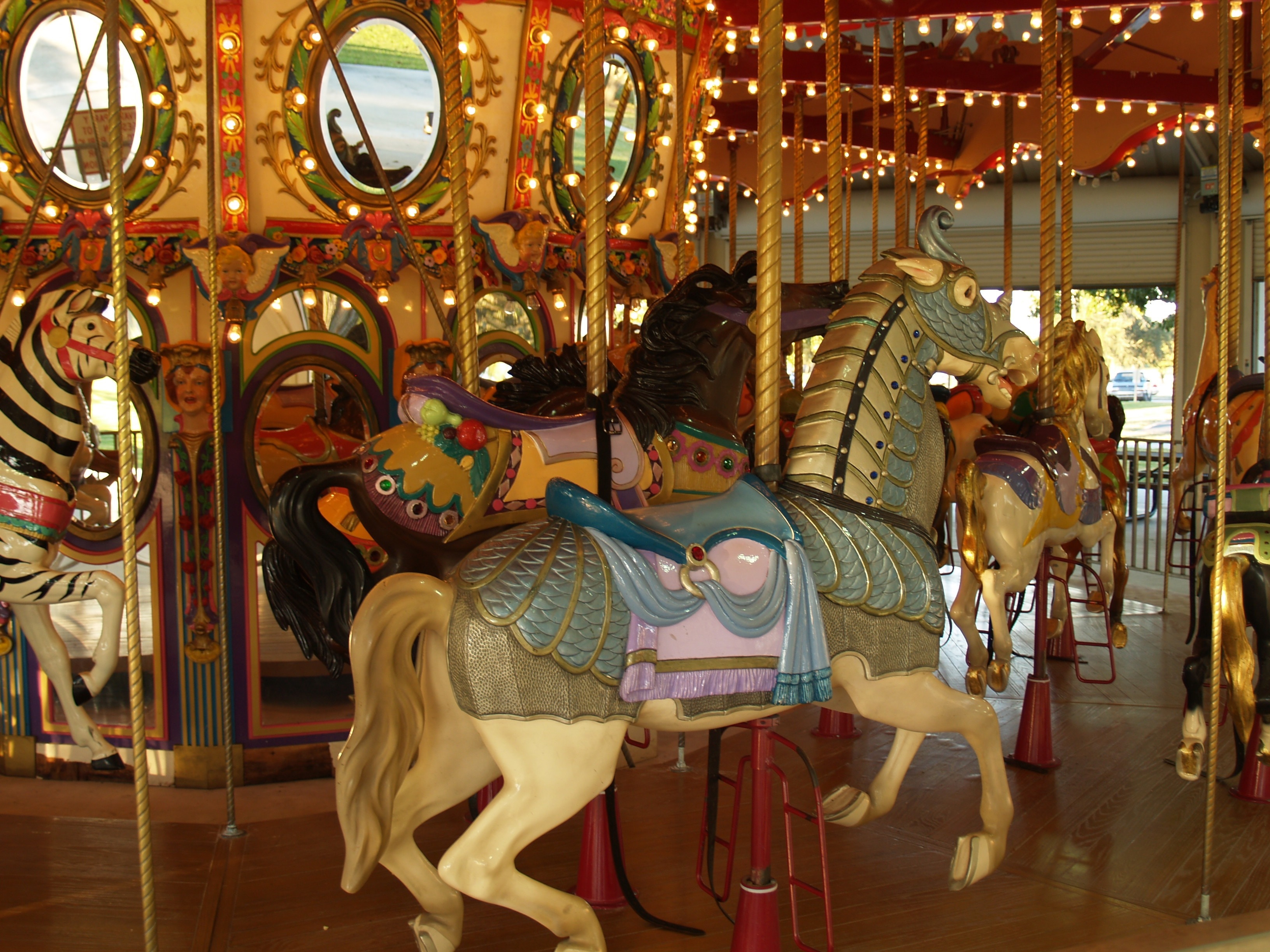 brown and beige carousel