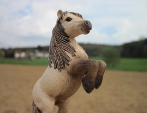 selective focus photography of pony with two legs up figurine thumbnail
