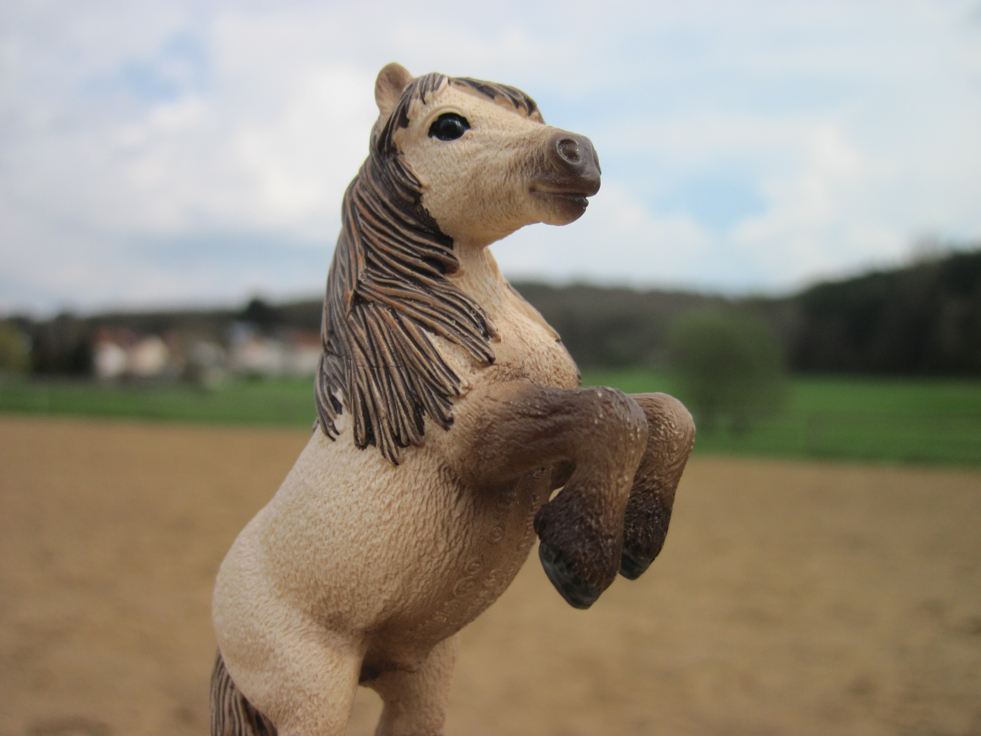 selective focus photography of pony with two legs up figurine