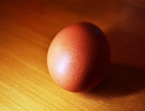 egg on top of brown surface thumbnail
