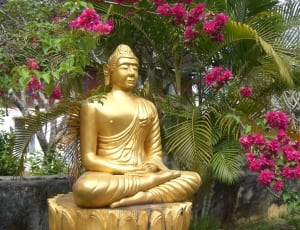 gold hindu deity statue thumbnail