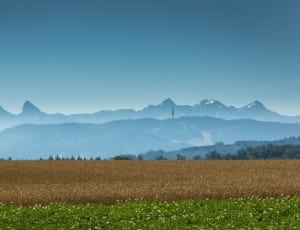 brown field with mountain background thumbnail