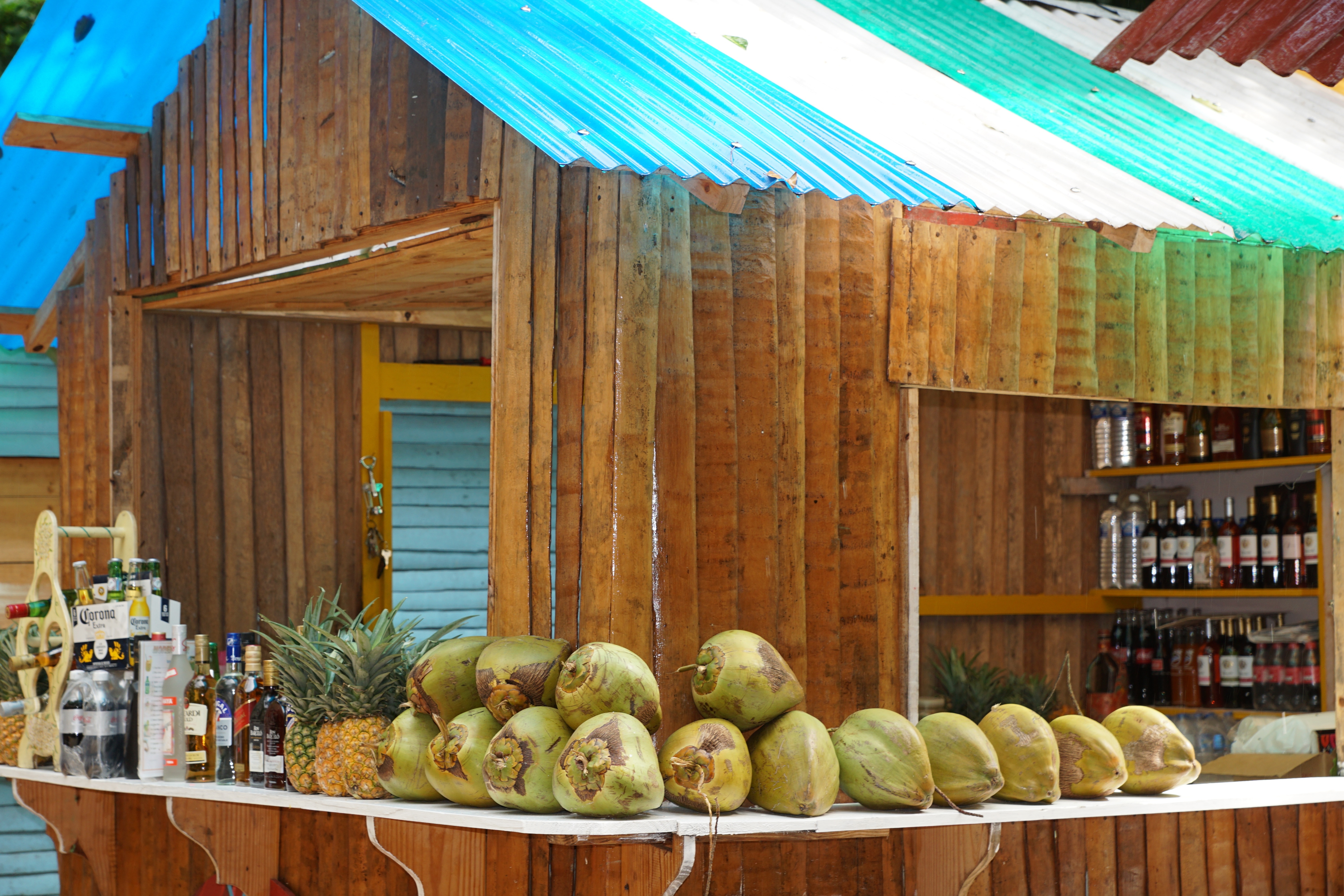 coconut lot