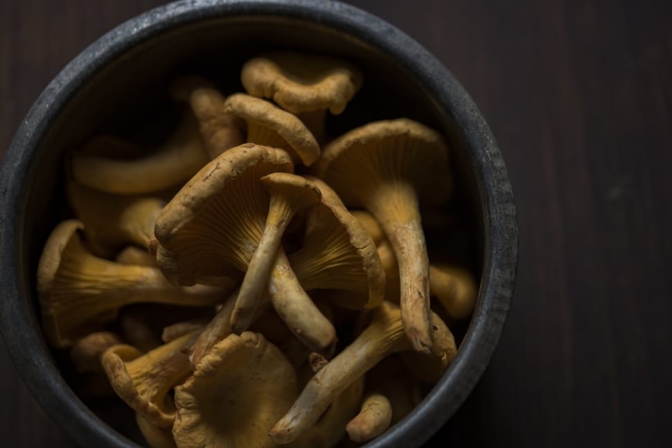 brown mushrooms in black round container preview