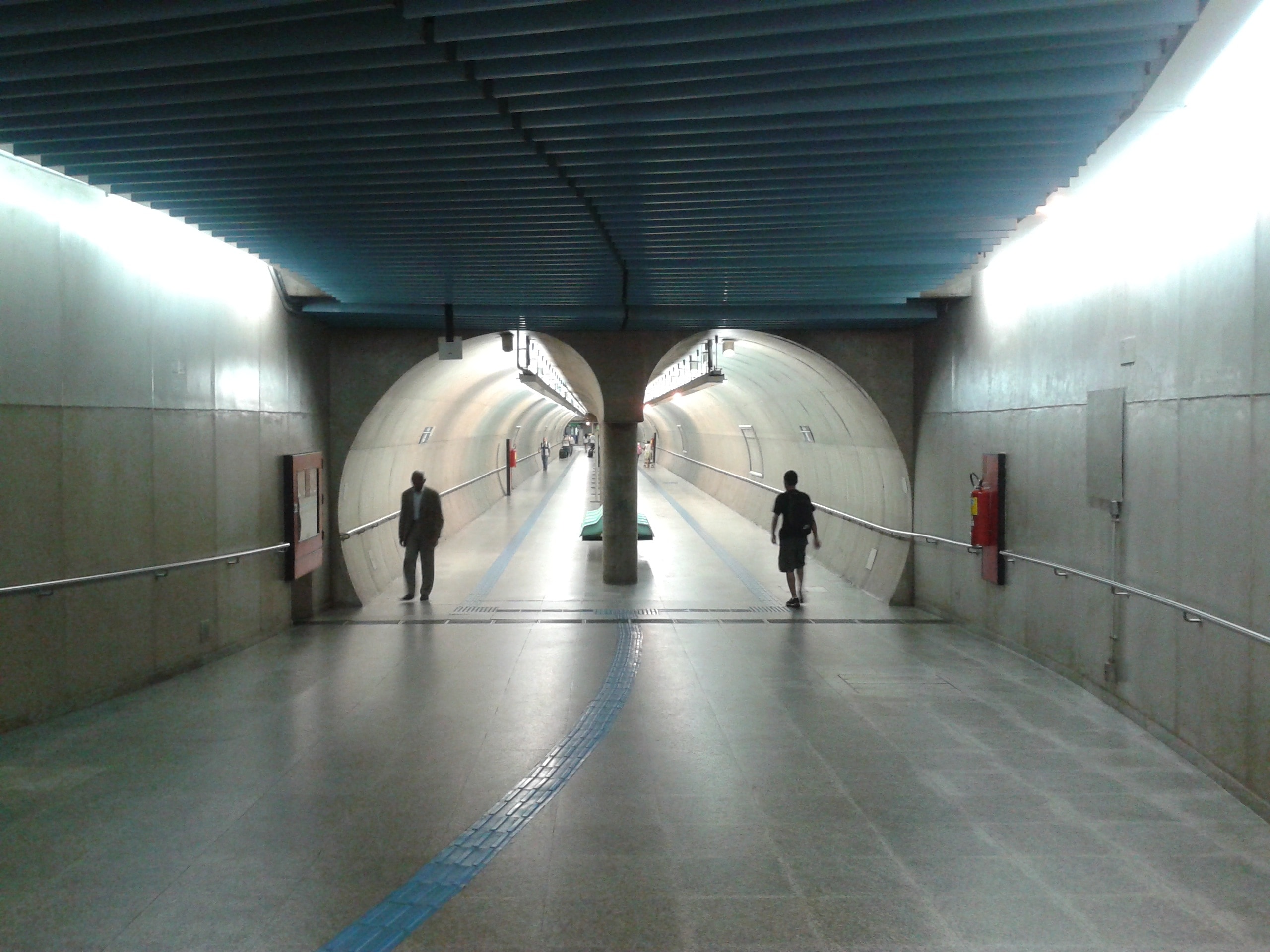 two panel tunnel pathway