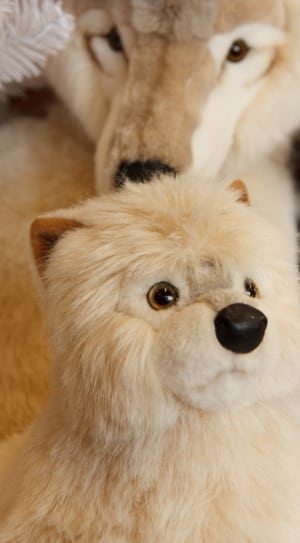 beige puppy plush toy thumbnail