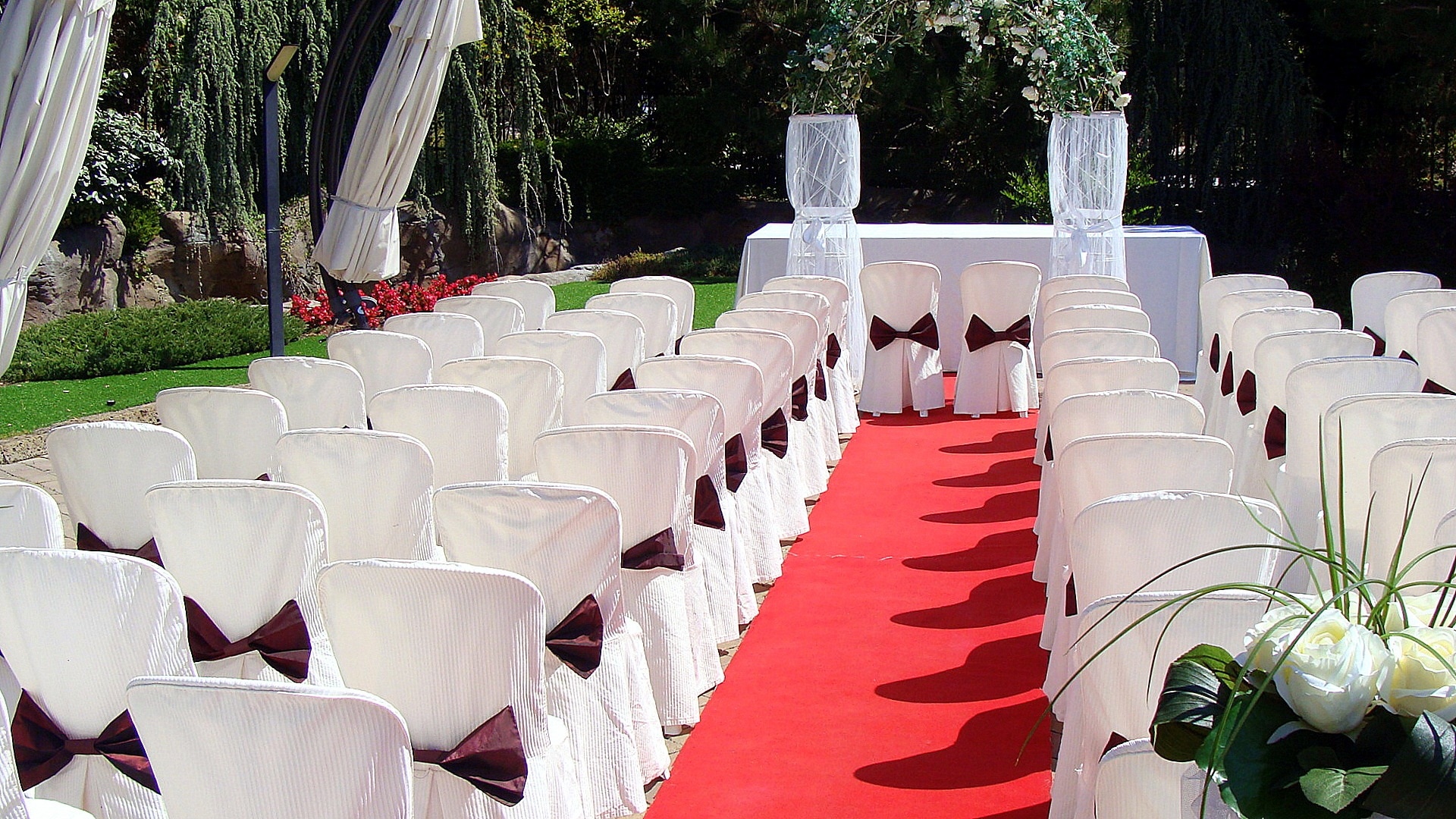 red carpet and chair lot