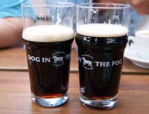 2 clear dog in fog drinking glass thumbnail