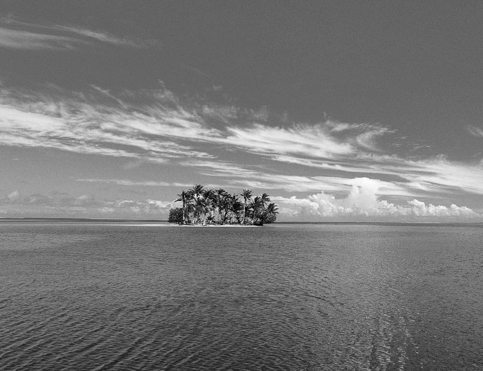 grey scale photograph of an island preview