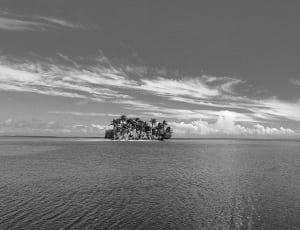 grey scale photograph of an island thumbnail