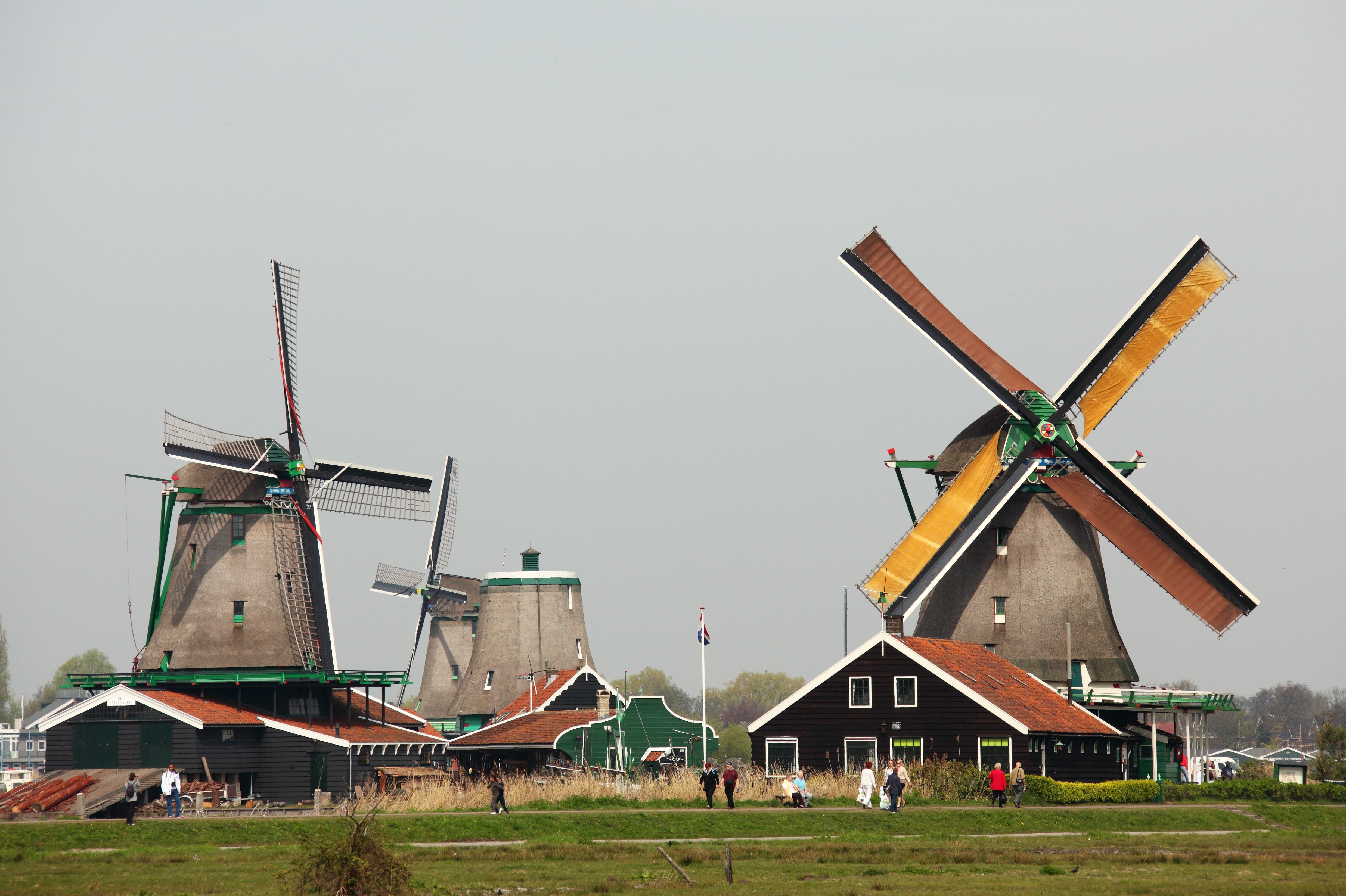two brown windmill