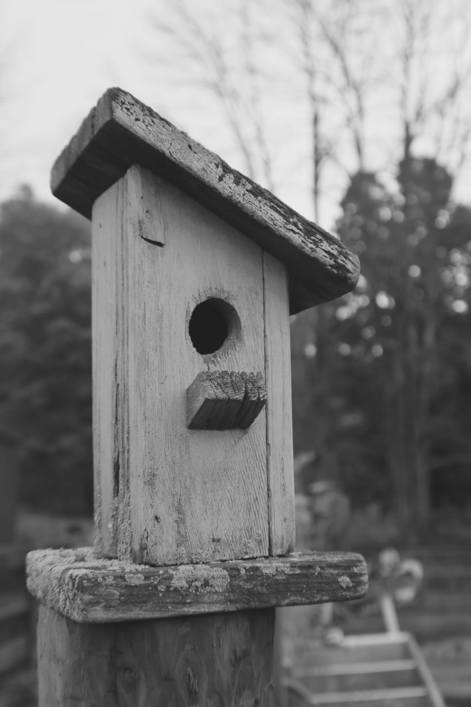 wooden birdhouse preview