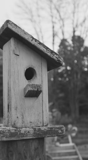 wooden birdhouse thumbnail
