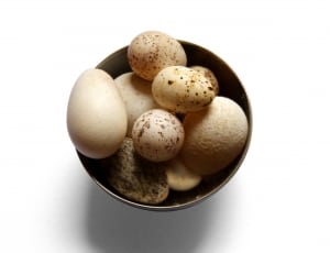white and brown eggs thumbnail