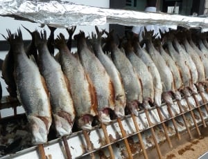 grey grilled fishes thumbnail