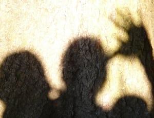 silhouette of person thumbnail