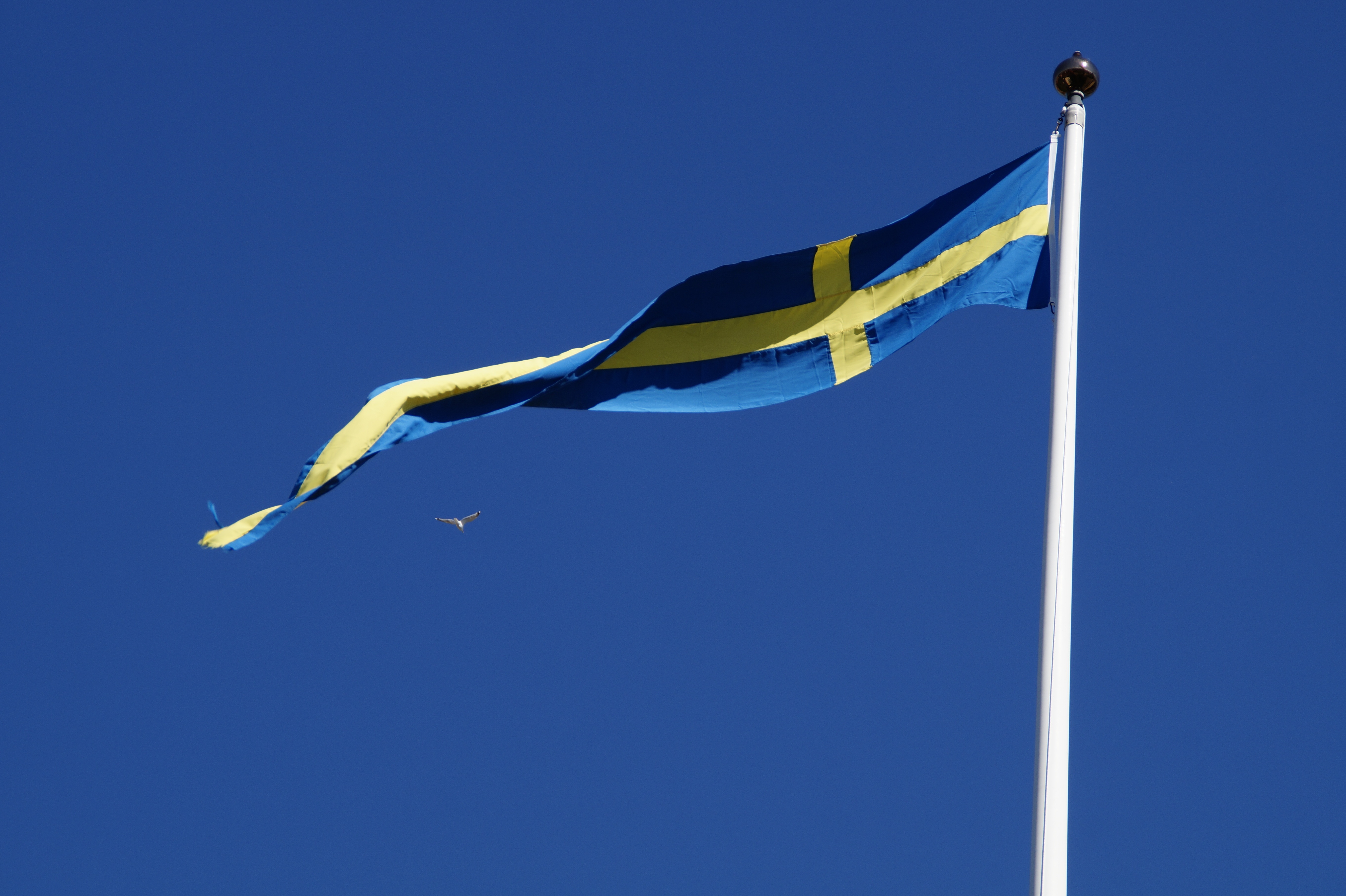 flag of Sweden during daytime