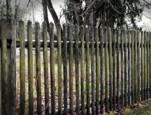 beige and brown wooden fence thumbnail