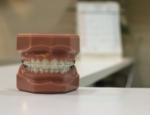 brown dentures on white table thumbnail