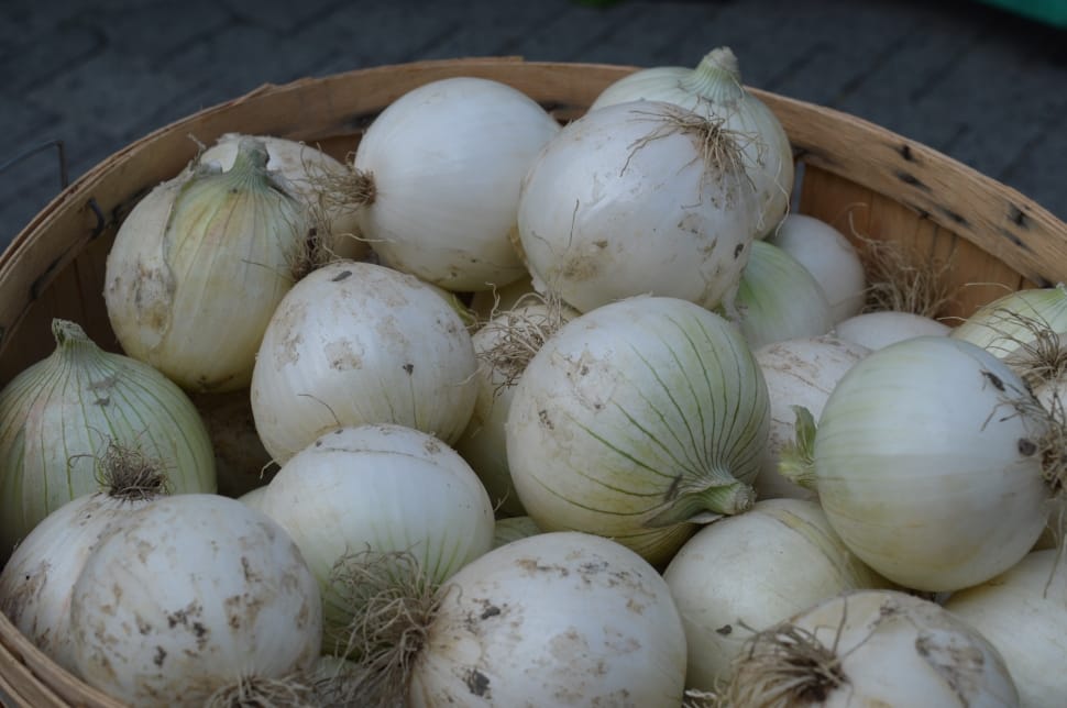 white onions preview