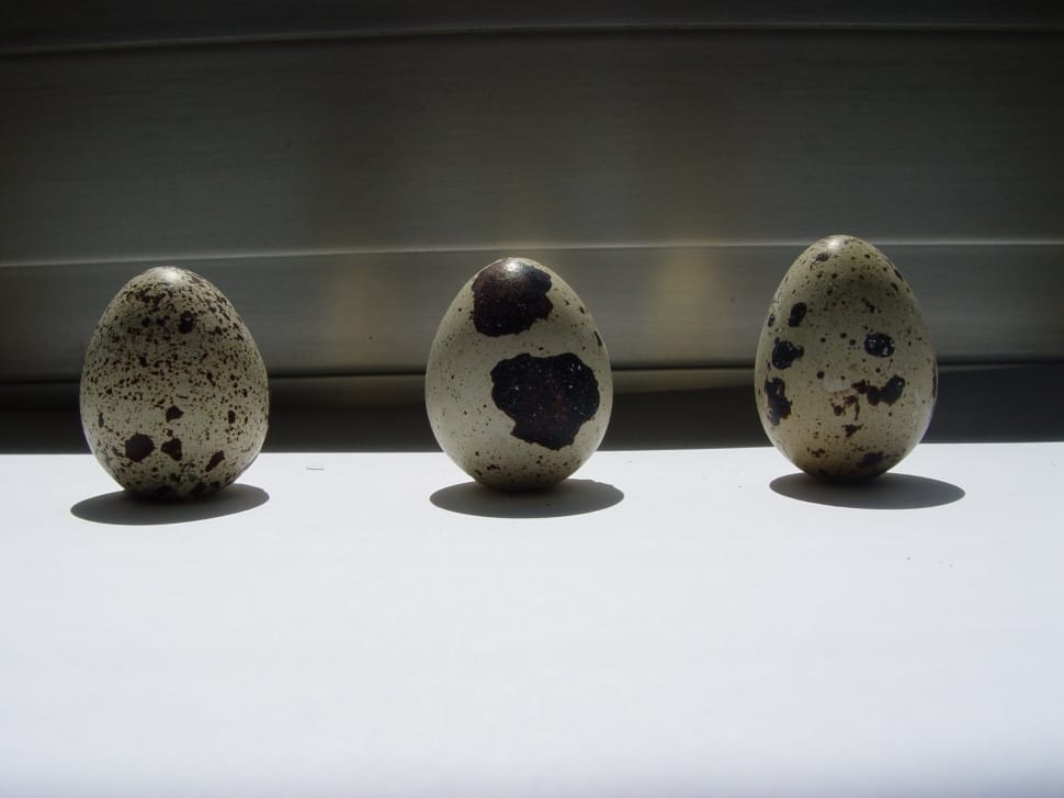 3 quail's eggs preview