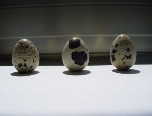 3 quail's eggs thumbnail