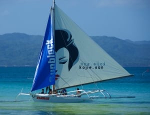 white and blue katamaran boat thumbnail
