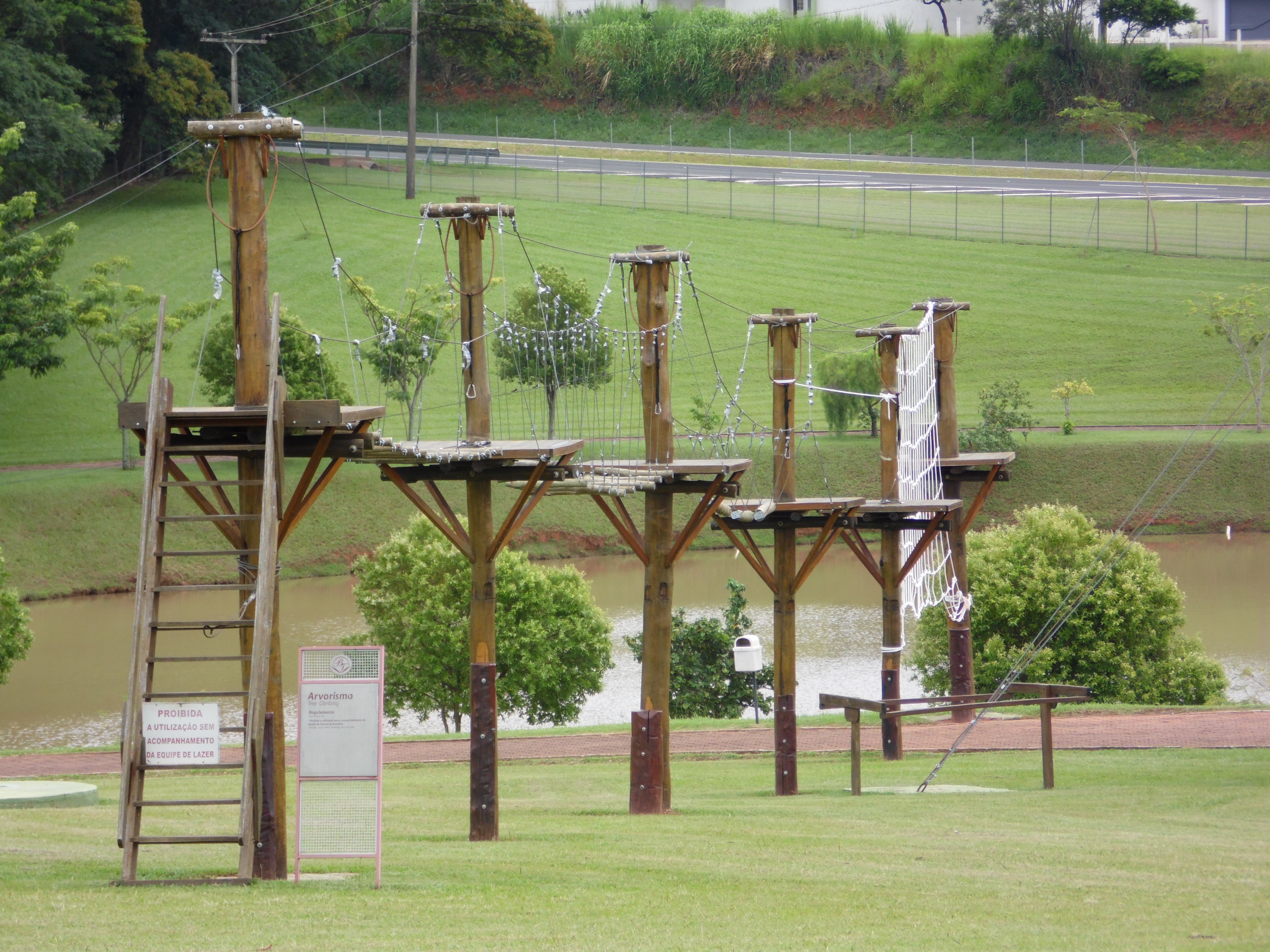 wooden training posts