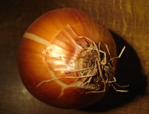 brown onion thumbnail
