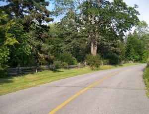 grey concrete road with yellow center line between green trees thumbnail