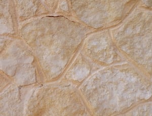 white and brown surface thumbnail