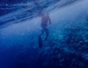 person in wet suit under water thumbnail