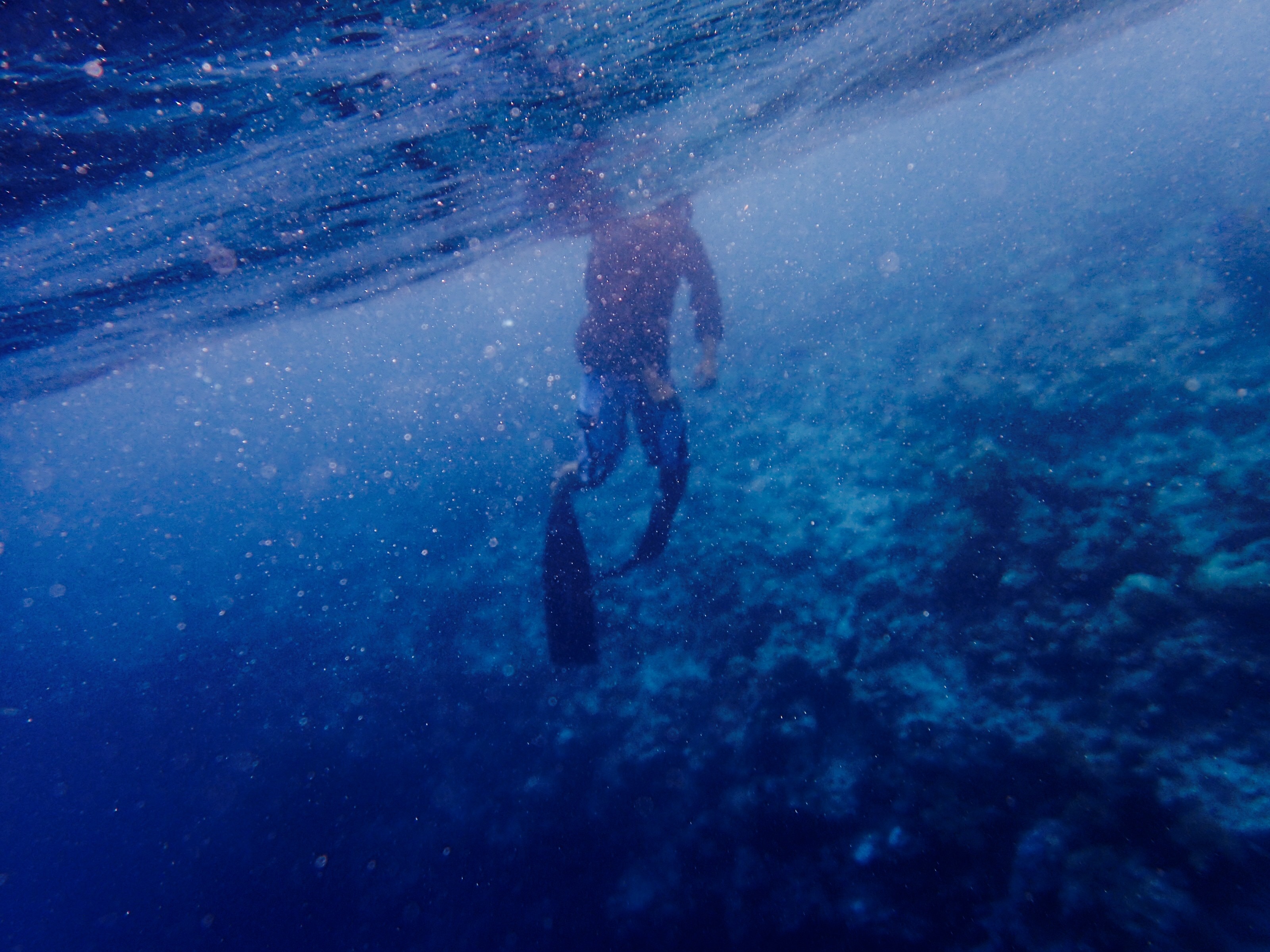 person in wet suit under water