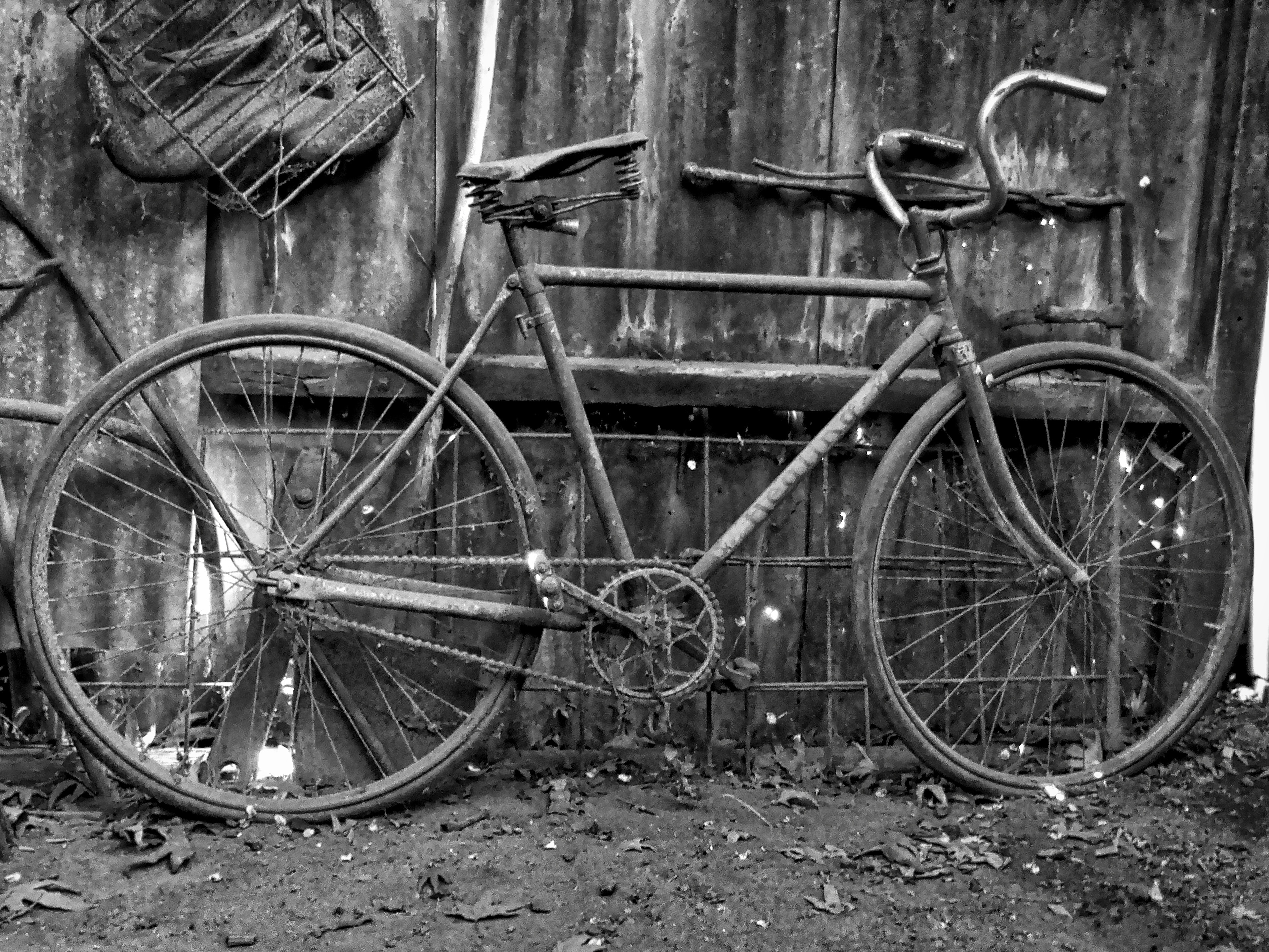 grayscale photo of bicyce