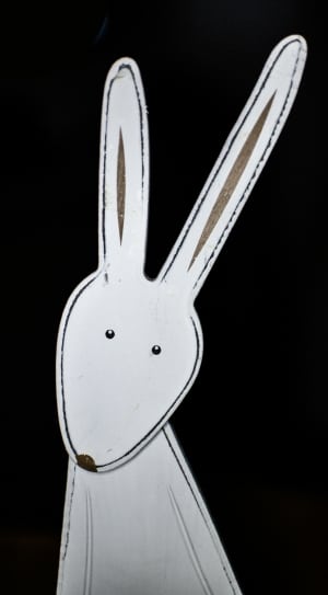 white and brown rabbit illustration thumbnail