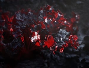 selective photography of red ornament thumbnail