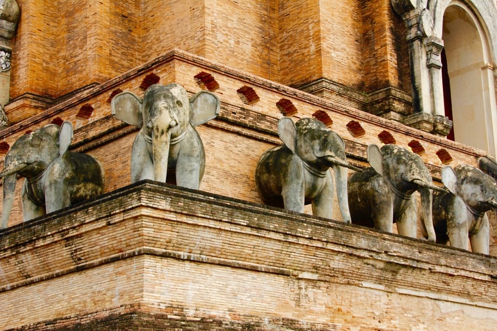 five gray elephant decor in cathedral preview