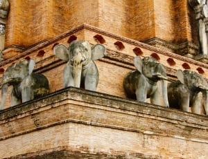 five gray elephant decor in cathedral thumbnail