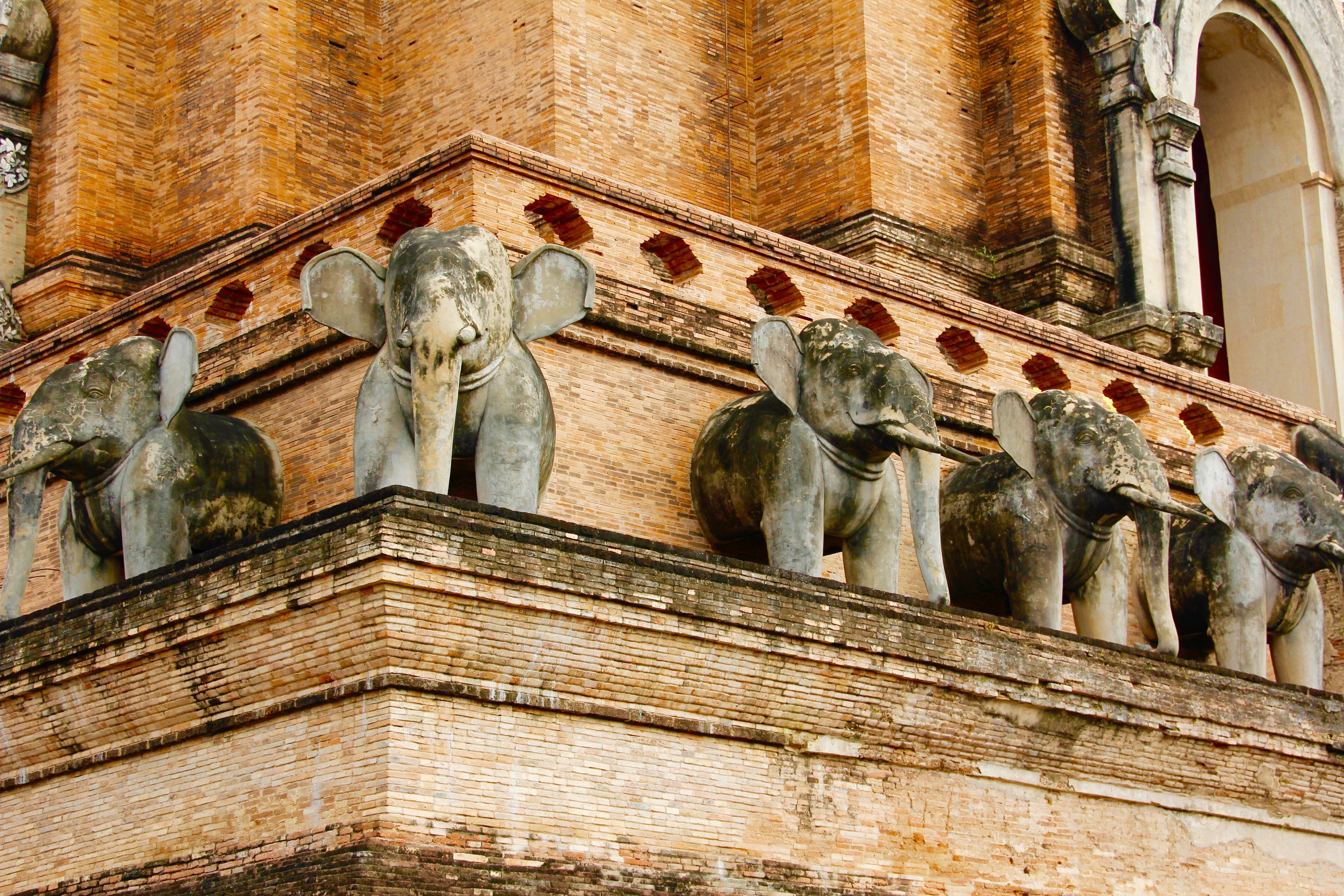 five gray elephant decor in cathedral