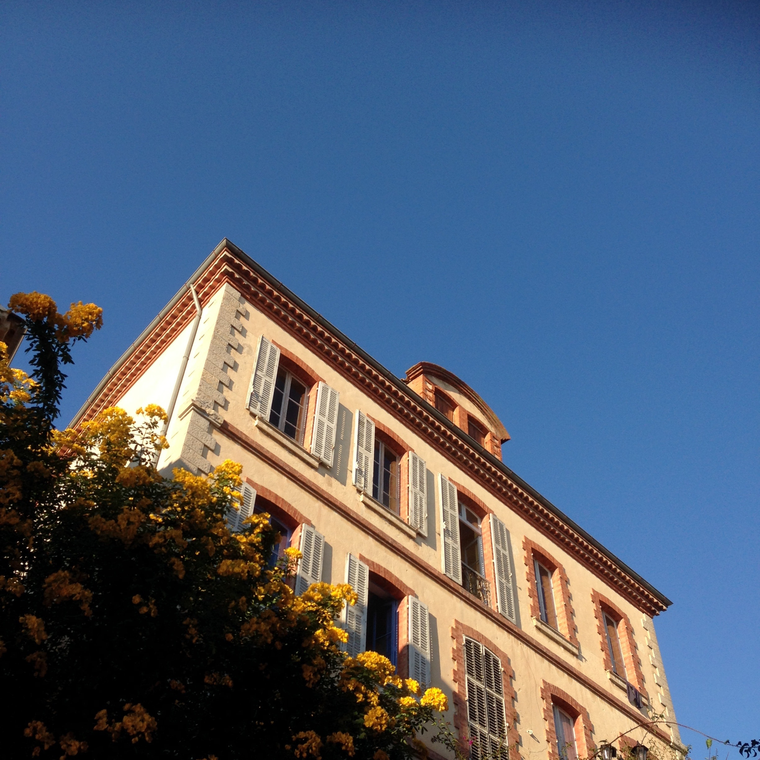 white and brown high rise building