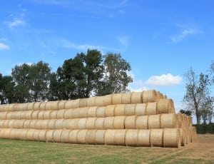 stacked hay thumbnail
