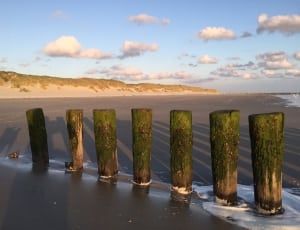 7 freestanding log on seashore thumbnail