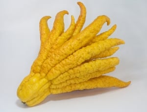 yellow fruit thumbnail