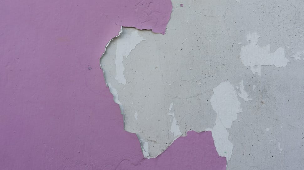 pink wall paint preview