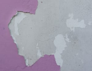pink wall paint thumbnail