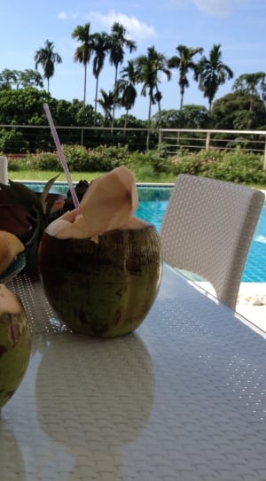 coconut fruit and rambutan thumbnail