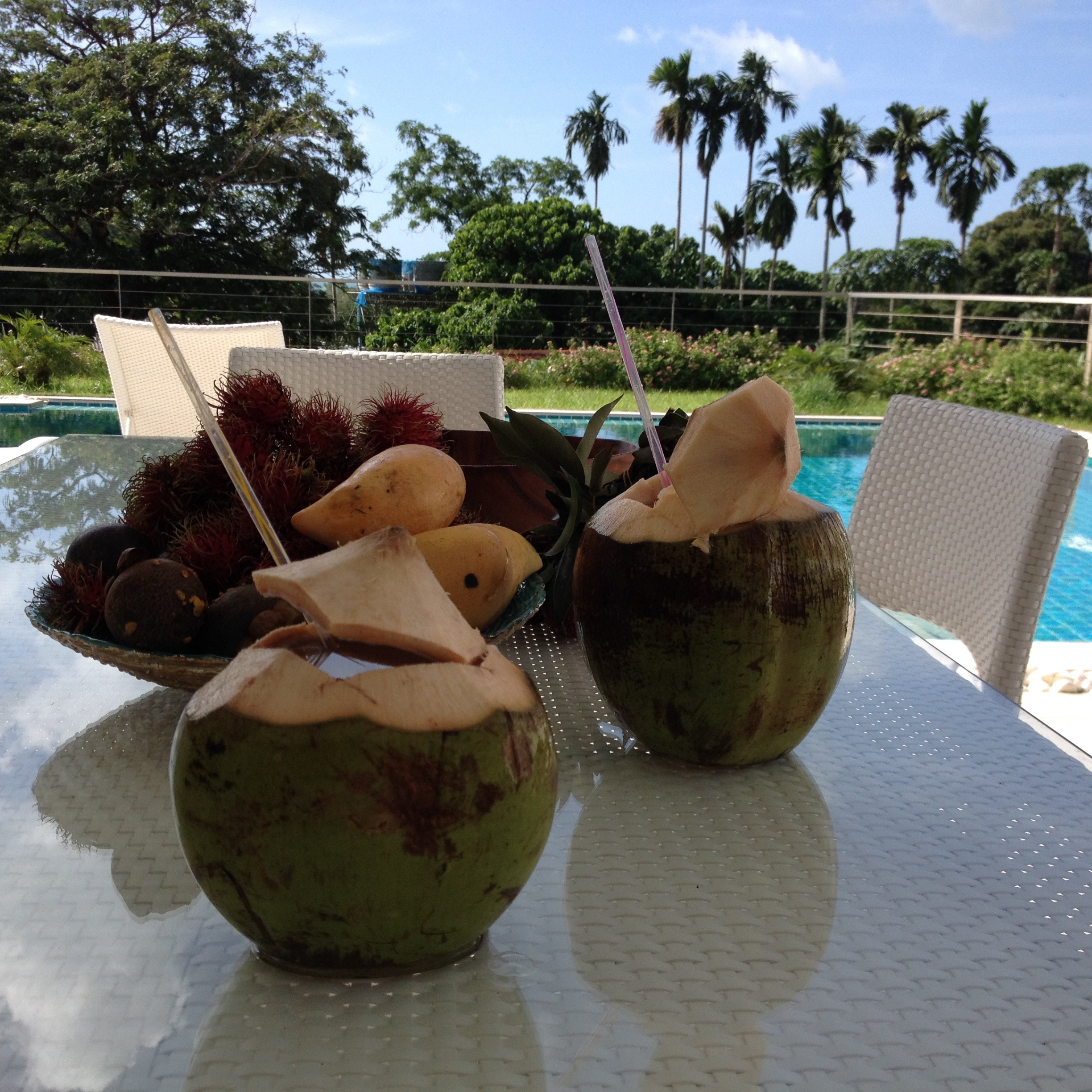 coconut fruit and rambutan
